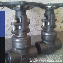 Thread End Bolted Bonnet Globe Valve